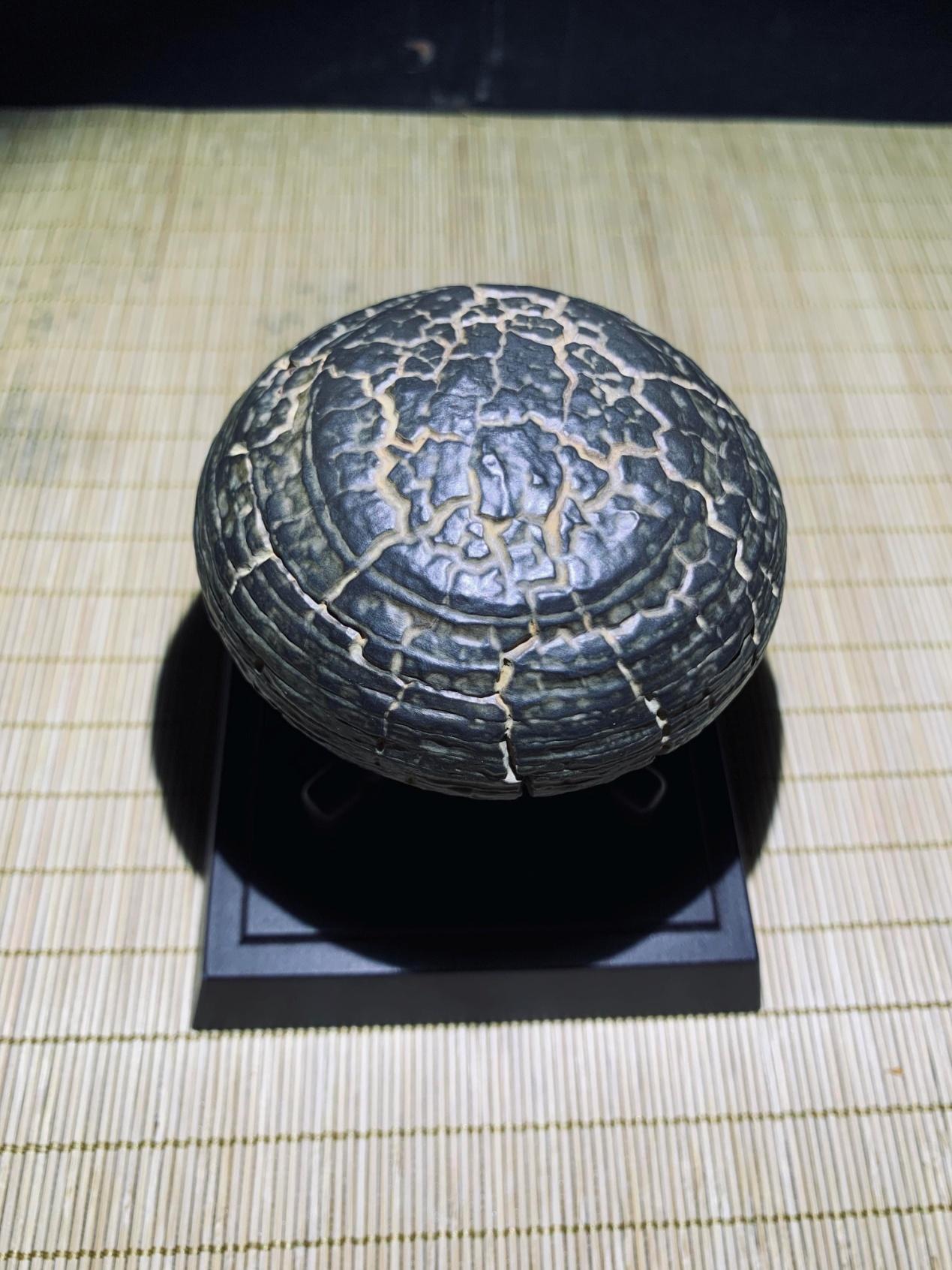 龜紋石奇石_龜紋石奇石收藏價格_龜紋石頭