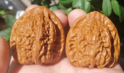 核桃盤_盤的核桃和吃的核桃一樣嗎_吃的核桃怎么盤玩效果最好