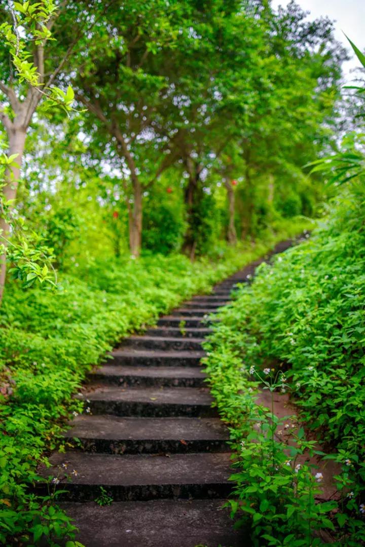 清遠奇石河風景區簡介_清遠市奇石市場在哪里_清遠奇石公園