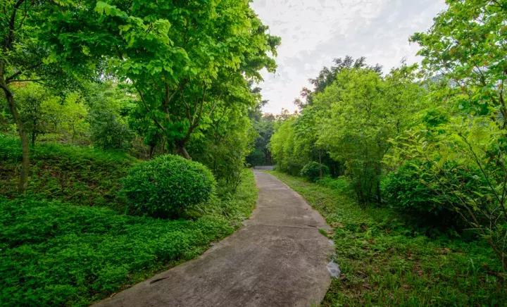 清遠市奇石市場在哪里_清遠奇石公園_清遠奇石河風景區簡介